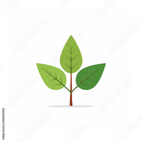 Green leaf icon with stem on white background