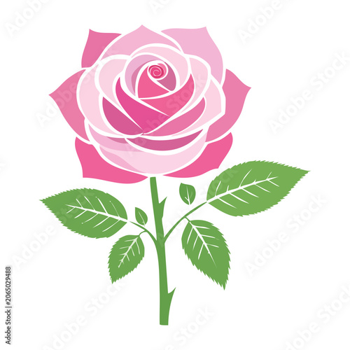 Pink rose with green leaves flat illustration
