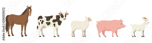 Fotografía Flat color full-length standing farm animals - horse, cow, sheep, pig, goat - side view
