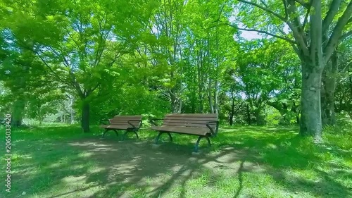 ベンチ　緑の公園