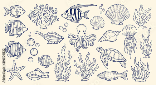 Foto Hand drawn set collection of various sea creatures and plants underwater