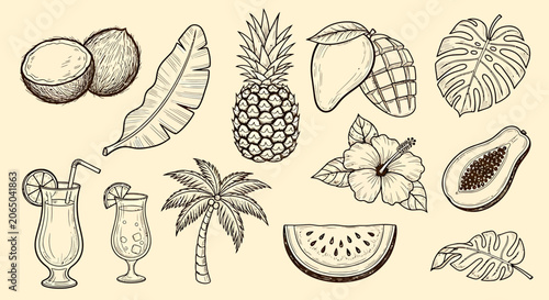 Fotografía A hand drawn set collection of tropical fruits and drinks on a palm tree backgro