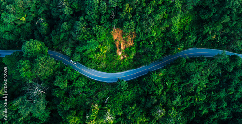 Quadro su tela Aerial forest road illustrating carbon credit pathways and net zero strategies, ideal for sustainability reports, climate disclosures, and environmental finance projects