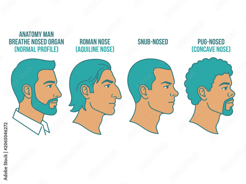 Fototapeta premium Set of four different male nose shapes and profiles illustration