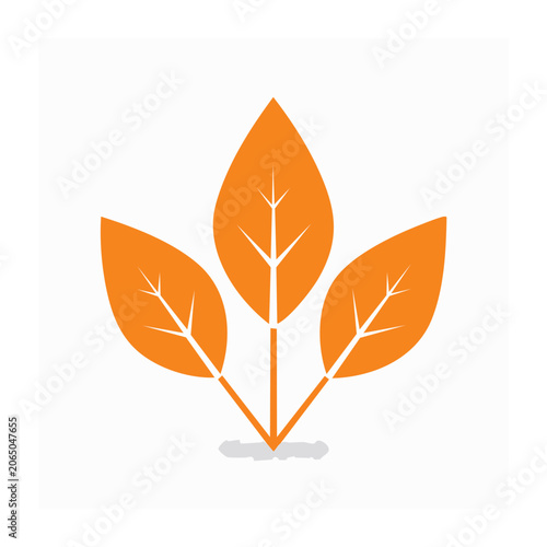 Orange maple leaf icon on white background