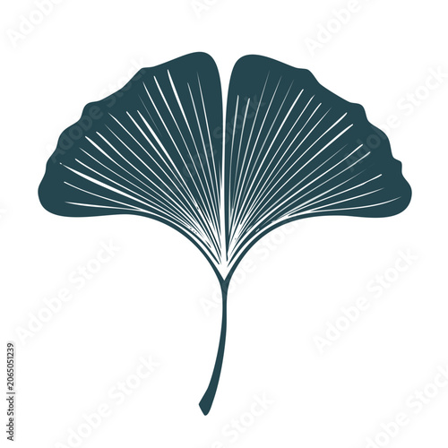 Teal Ginkgo Leaf Flat Design Illustration