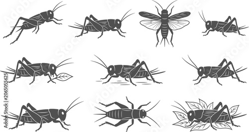 Canvastavla Cricket and grasshopper insect silhouettes set in various jumping and feeding po