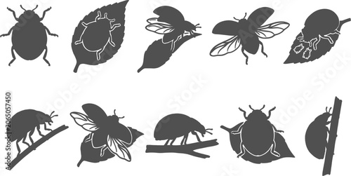 Bild auf Leinwand Ladybug beetle silhouettes crawling on leaves and flying on a transparent backgr