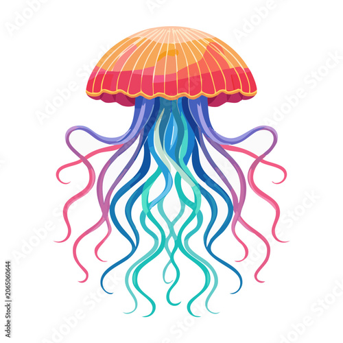 Colorful watercolor jellyfish illustration