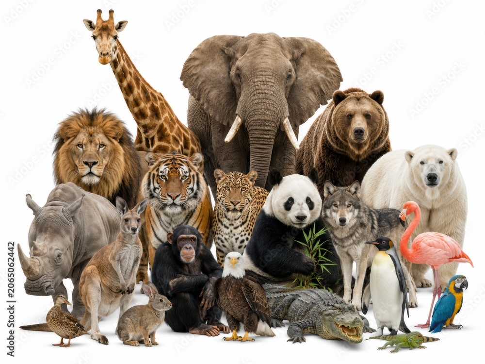 Fototapeta premium diverse group of wild animals including mammals, birds, and reptiles assembled together on a white background, showcasing global wildlife variety.