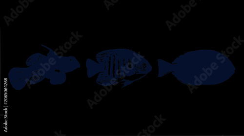 Three Dark Blue Fish Silhouettes on Black Background, Diverse Marine Life
