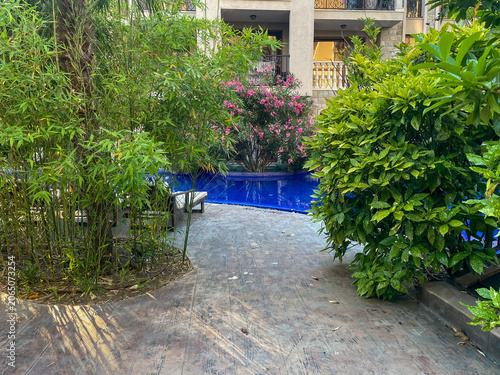 Horizontal eye level wide shot of a concrete stone pathway leading towards a vibrant blue tiled resort swimming pool framed by lush green bamboo stalks, dense bushes, and a blooming pink oleander tree