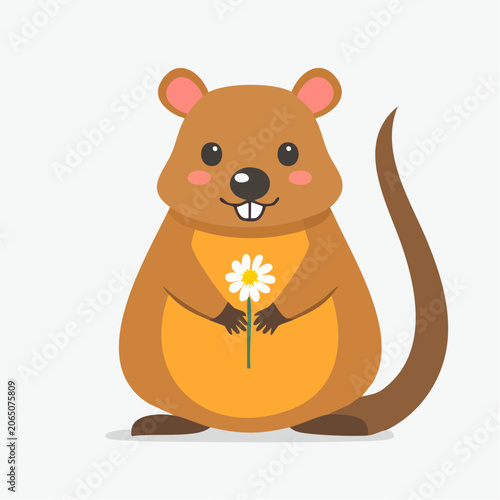 Cute cartoon quokka holding a daisy flower