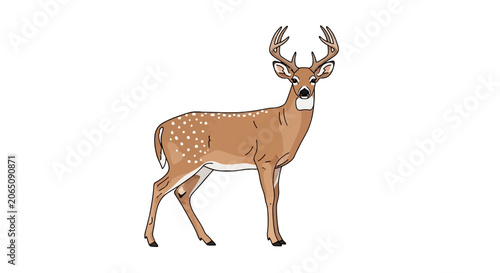 Bild auf Leinwand Majestic male deer with antlers standing in profile