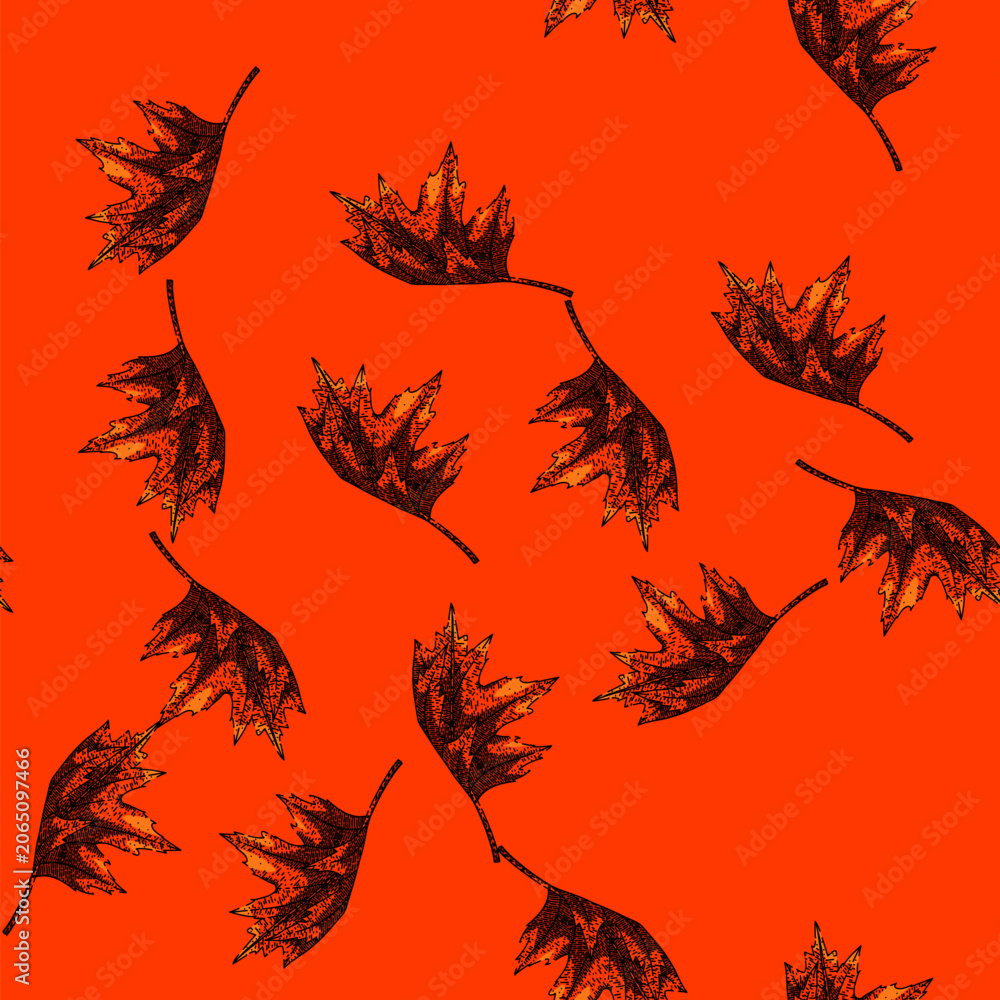 Naklejka premium pattern maple leaf hand drawn. red, fall foliage maple leaf vector sketch illustration