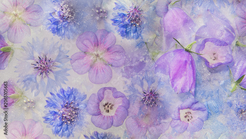 background with abstract art with frosted purple and blue wildflowers