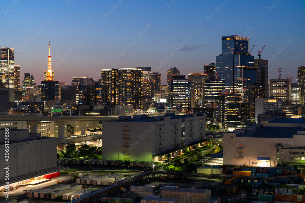 Fototapeta premium 東京タワーと東京湾岸の都市夜景 