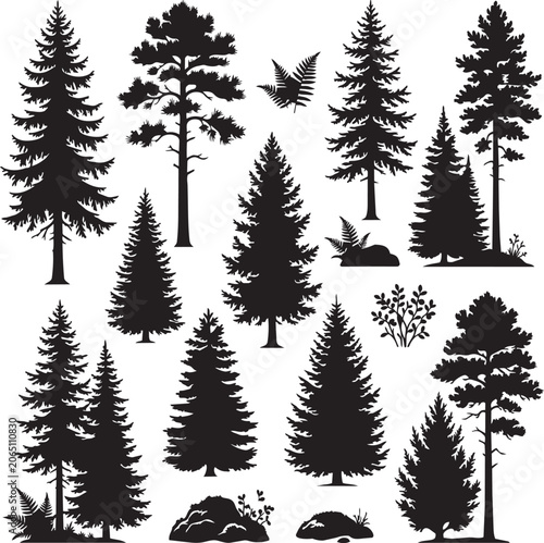 Quadro su tela Evergreen coniferous trees and ferns silhouetted against a white background for