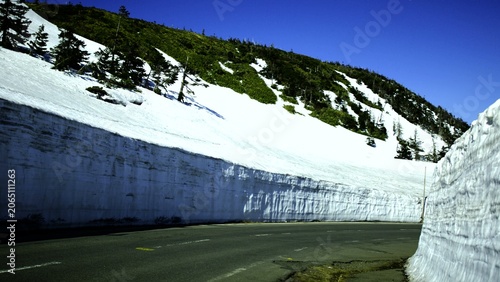 Canvas-taulu An asphalt road carves through massive banks of accumulated snow that tower on b