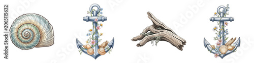 Set of isolated Nautical elements including seashell, anchors, and driftwood design  