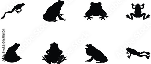 Frog Silhouette Collection with Jumping Sitting and Croaking Amphibian Poses