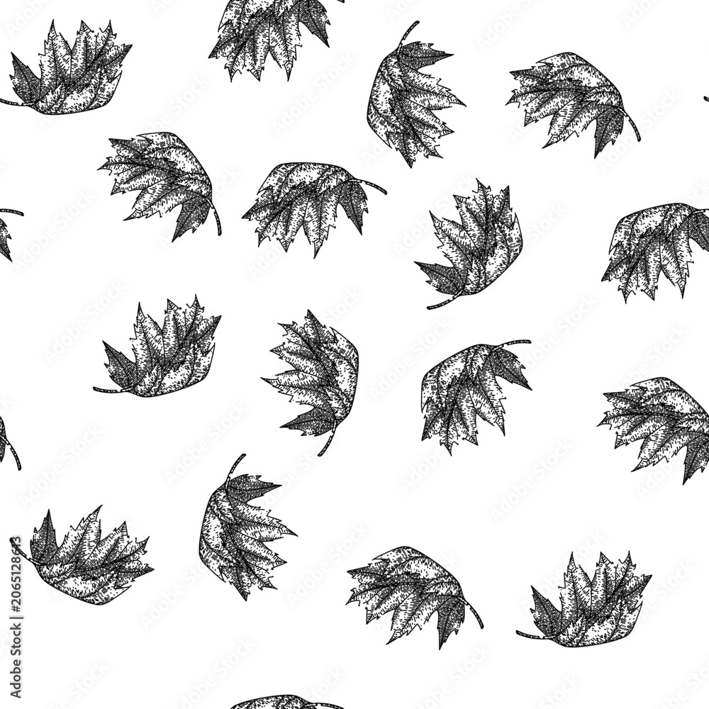 Fototapeta premium seamless pattern leaves maple leaf hand drawn. vector , red fall leaves maple leaf black sketch illustration