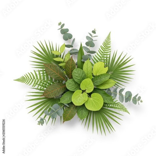Lush Green Foliage Arrangement on White Background.