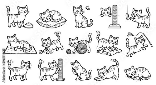 Foto American Shorthair Cat Head and Full Body Cartoon Black Line Illustration Collec