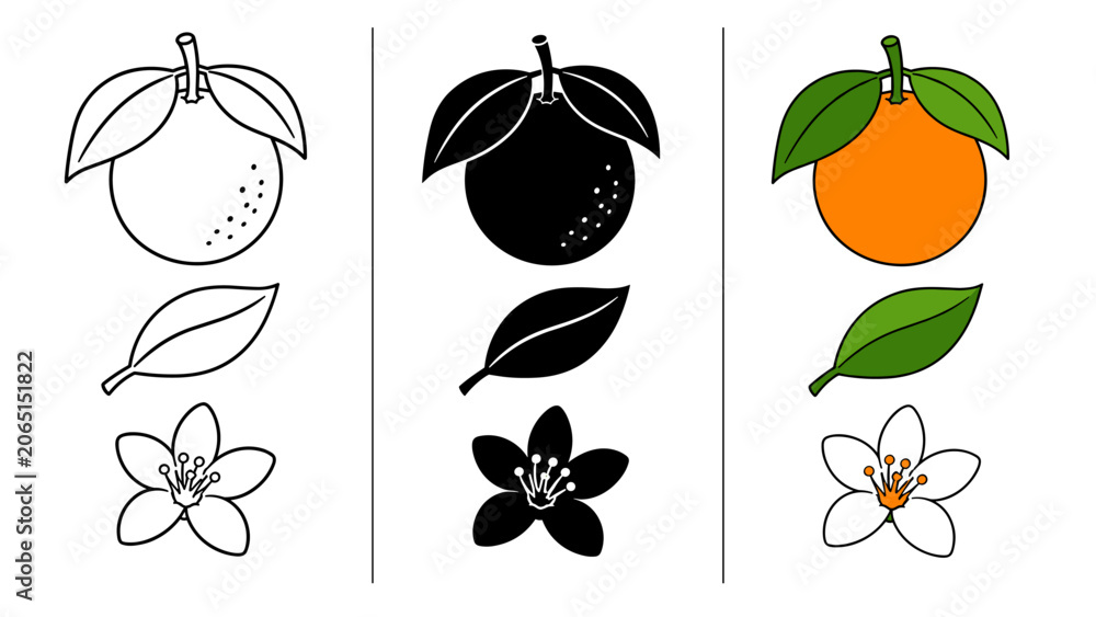 Naklejka premium Set of stylized orange fruit, leaf, and blossom icons in outline, silhouette, and color