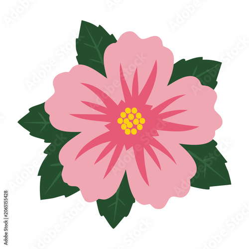 Pink flower with green leaves flat illustration