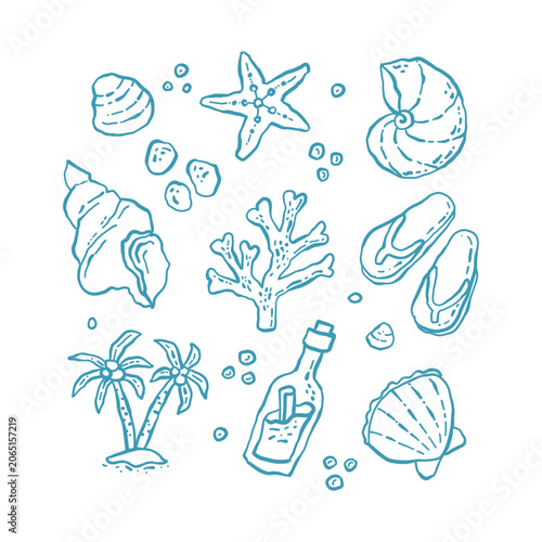 Marine summer set sea shells starfish collection. Beach underwater elements. Hand drawn vector illustration in simple naive style