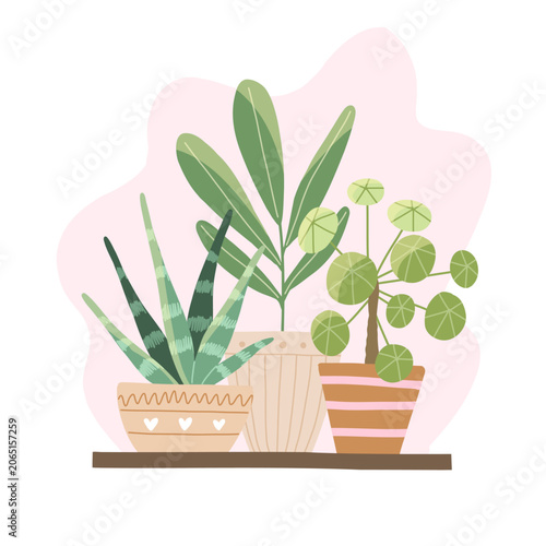 House plants in ceramic pots, hand drawn. Cute interior wellness elements. Hand drawn vector in simple style