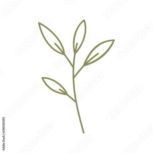 Leaf line art icon