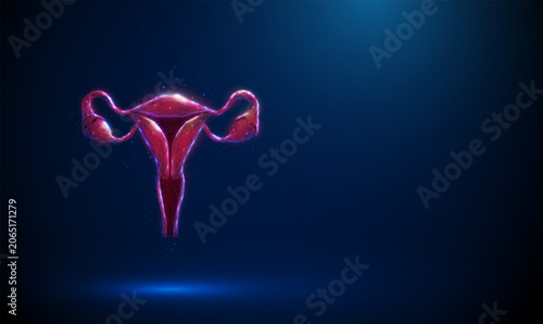 Canvas Print 3D blue uterus
