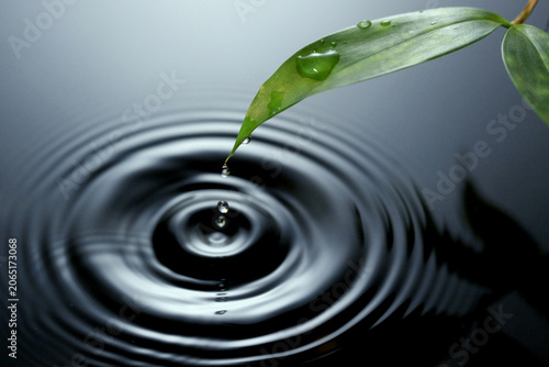 Bild auf Leinwand Water droplet falling from a green leaf onto a rippled dark water surface