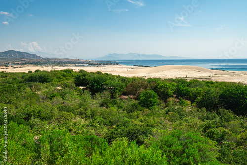 Tablou pe pânză Scenic ground-level view of the sandy dune landscape near Phan Rang, Ninh Thuan, Vietnam