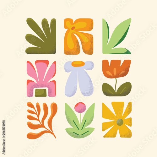 Foto Abstract botanical vector elements set