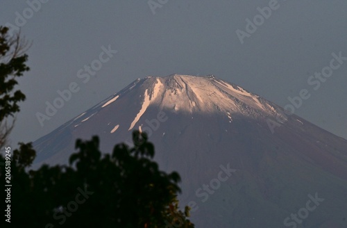 Tableau sur toile Mount Fuji in early summer