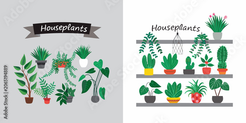 Obraz na plátně Houseplants Vector Illustration With Potted Foliage And Decorative Shelves