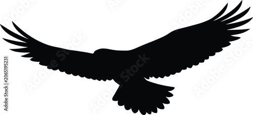 Foto Flying eagle silhouette vector illustration of a wild majestic bird of prey soar