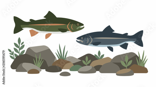 Illustration of two fish swimming above rocks and plants