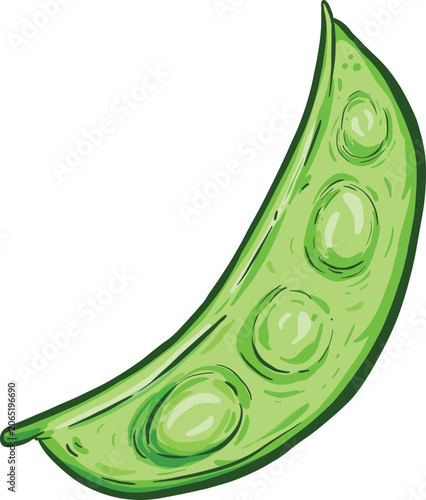 Fotografia Mange Tout Pea Pod Vegetable character Illustration