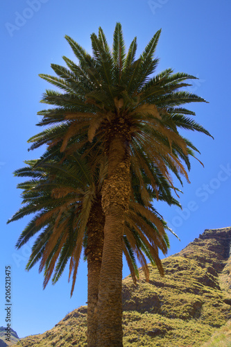 Views along the scenic hiking trail ascending from San Pedro,descending from the high threshing ground Era de Berbique toward the coastal village of Puerto de las Nieves in northwest Gran Canaria, Can