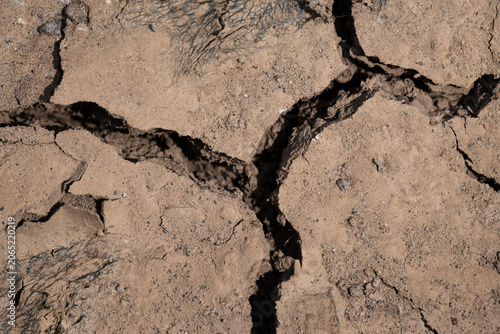 Canvas-taulu Cracked dry earth with deep soil fissures