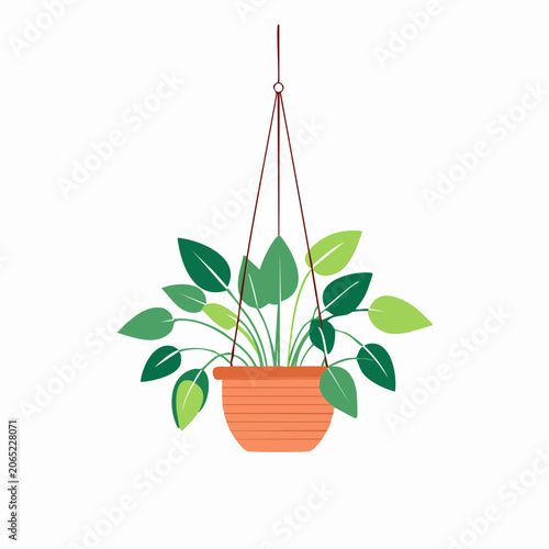 Hanging Potted Plant with Green Leaves