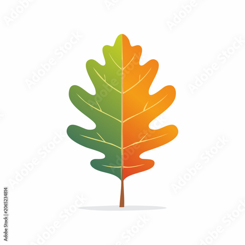 Oak Leaf with Green and Orange Halves