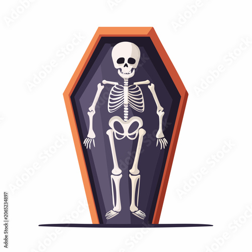 Skeleton in a Coffin Illustration