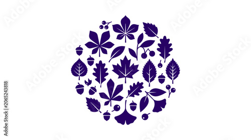 Autumn Fall Leaves and Botanical Elements Set Arranged in Circle Shape