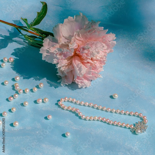 pink peony flower and an exquisite high jewelry pearl necklace 