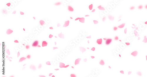 Bilde på lerret Beautiful floral overlay with flying pink petals at transparent background